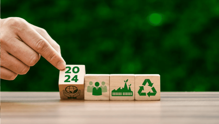 Sustainability and Social Responsibility