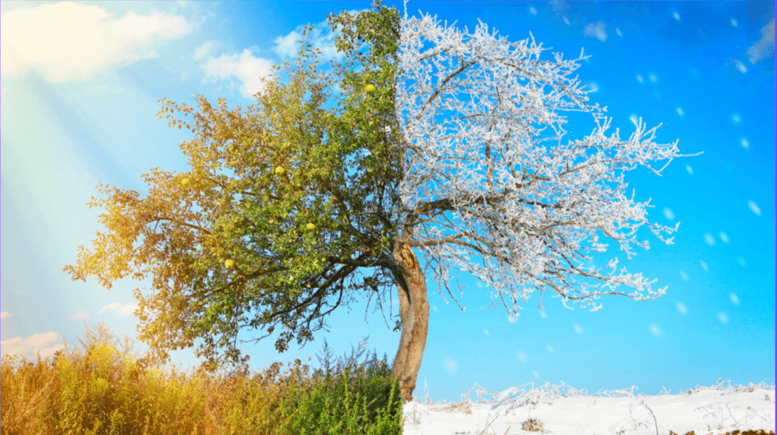 stay competitive during peak season and the slow moving season by increasing operational efficiency