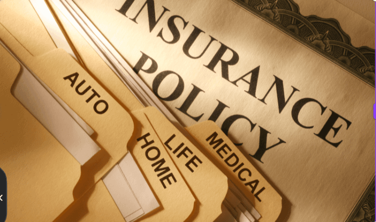 Insurance and Legal Considerations
