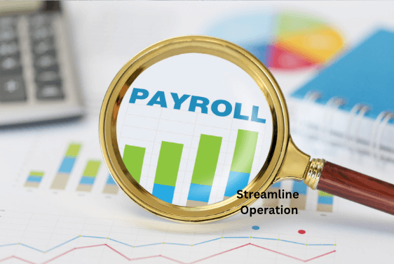 streamlining processes. Payroll software automates this process, calculating wages accurately and saving you hours of manual work
