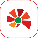 Move Advisor logo